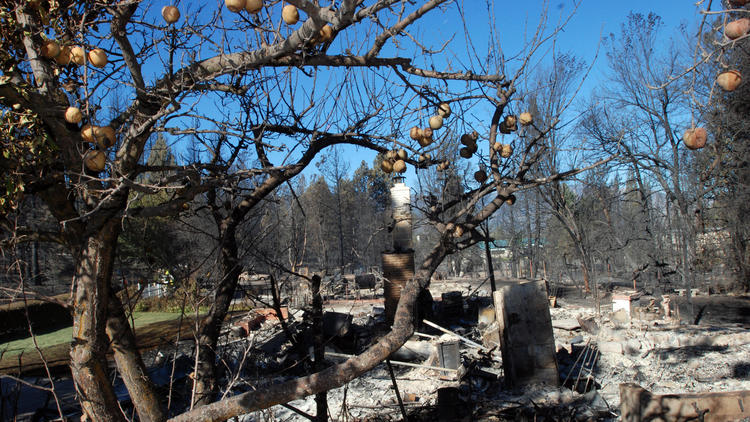 Weed California, Boles Fire