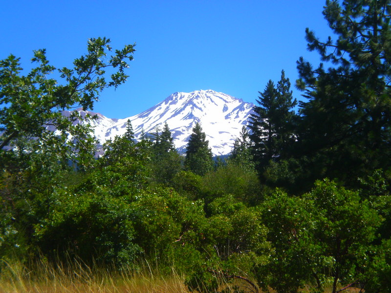 Mt. Shasta to McCloud CA