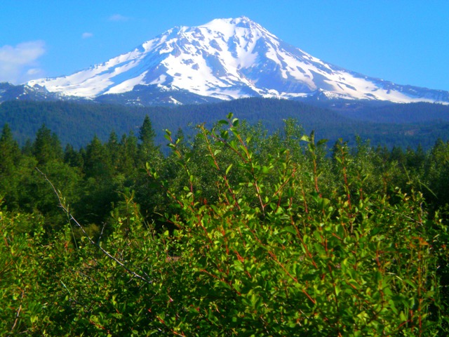 Mount Shasta