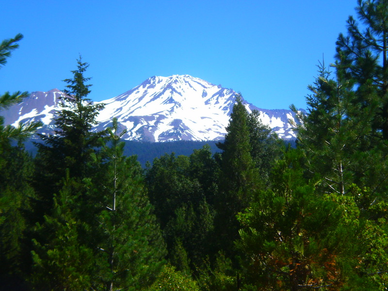 Mount Shasta CA